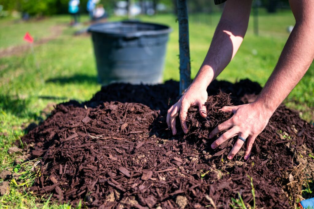 Mulching services in Houston